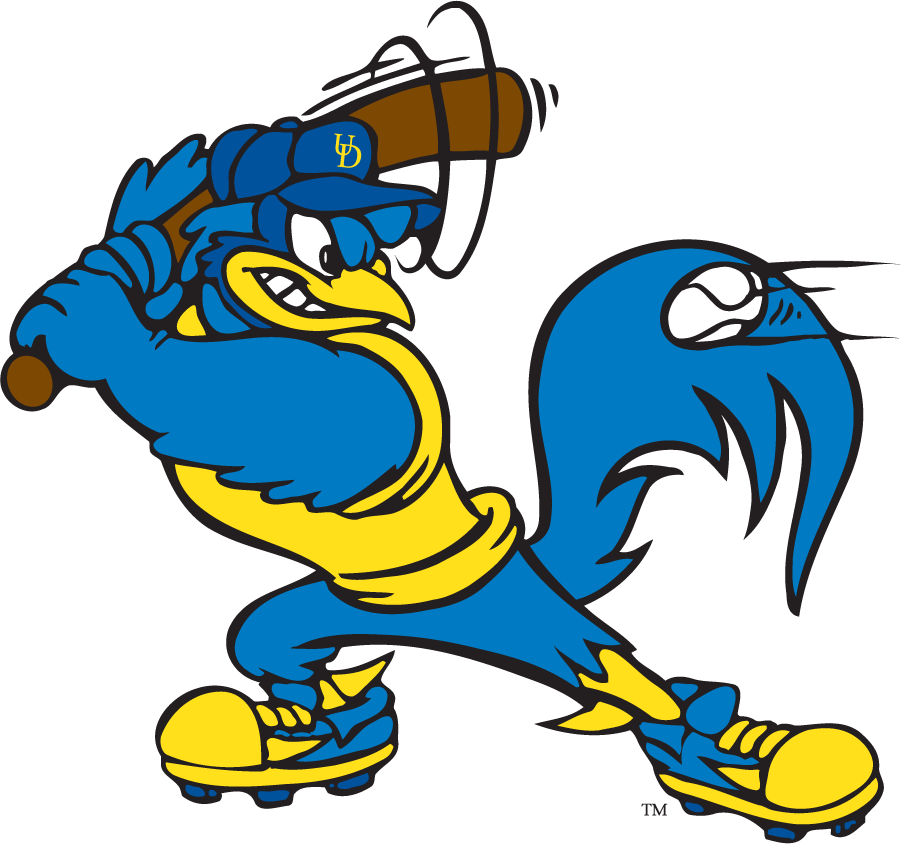 Delaware Blue Hens 1999-2009 Mascot Logo v6 DIY iron on transfer (heat transfer)